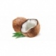 VEG AMANDIN Napój owsiany z kokosem BIO 1000ml